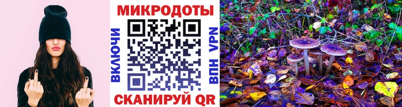Псилоцибиновые грибы ЛСД Полтавская