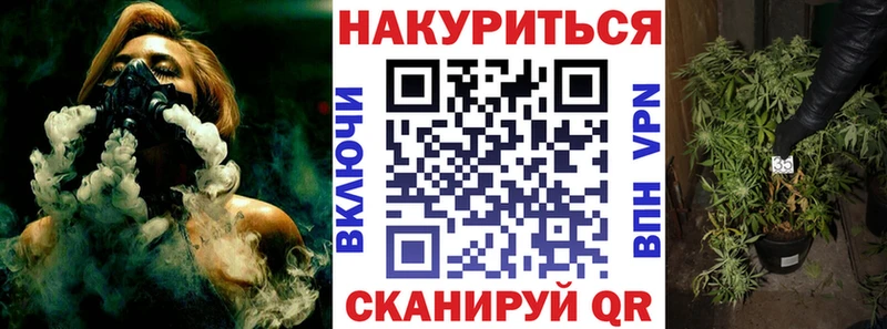 дарнет шоп  Полтавская  OMG как войти  Канабис планчик 